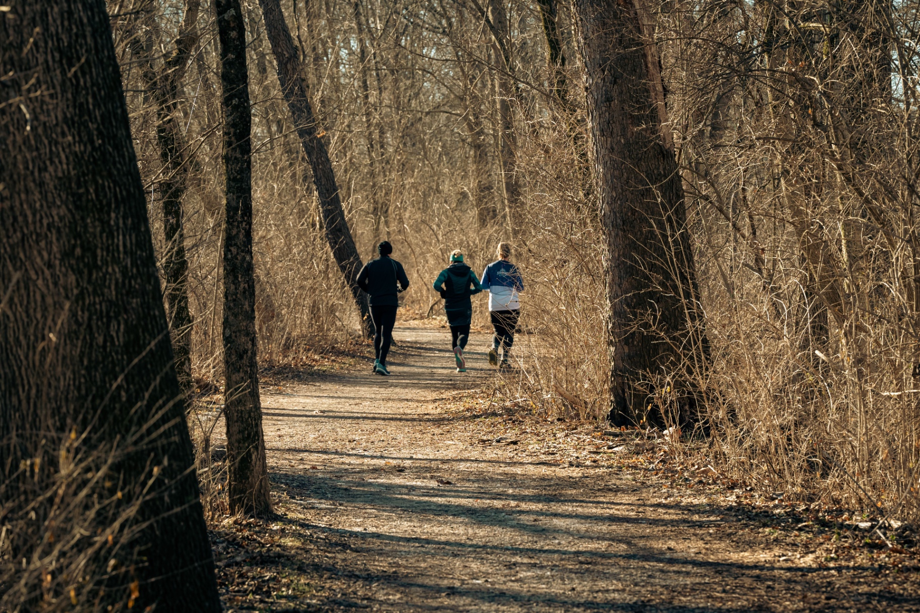 Runners on a woodland trail